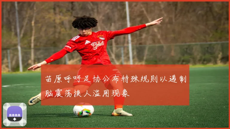 苗原呼吁足协公布特殊规则以遏制脑震荡换人滥用现象