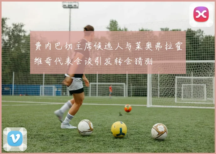 费内巴切主席候选人与莱奥弗拉霍维奇代表会谈引发转会猜测