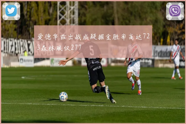 爱德华兹出战成疑掘金胜率高达723森林狼仅277