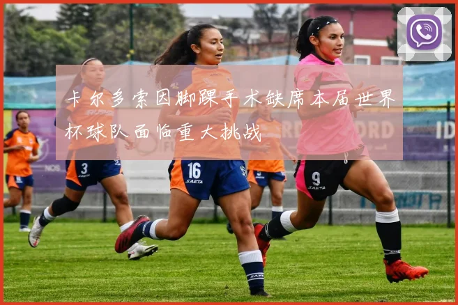 卡尔多索因脚踝手术缺席本届世界杯球队面临重大挑战