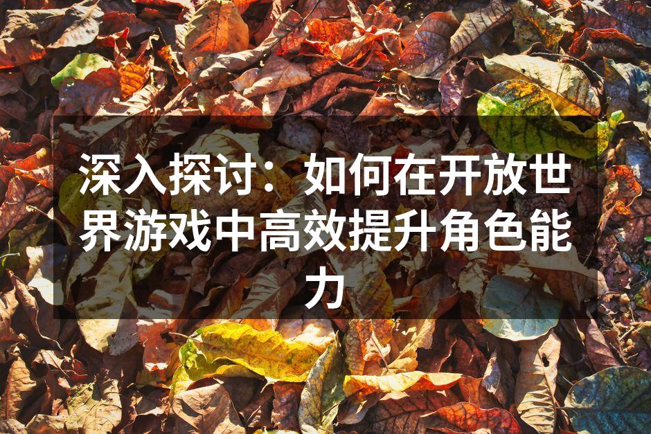 深入探讨：如何在开放世界游戏中高效提升角色能力